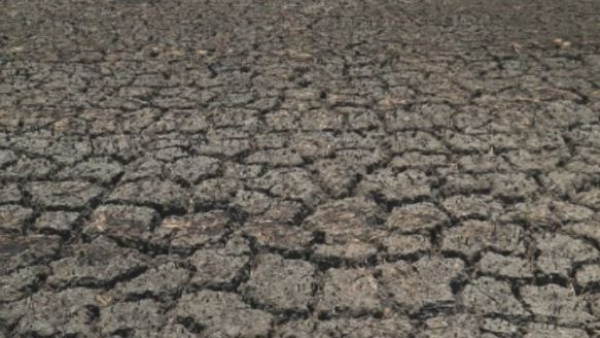 Острая нехватка воды и сокращение урожая: филиппинцы страдают из-за засухи