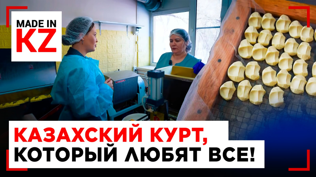 Курт на миллион: как продукт стал бизнесом и получил золотую медаль