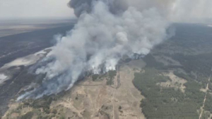 Ущерб экологии от лесных пожаров в Казахстане