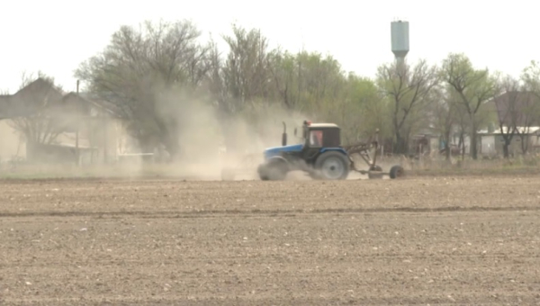 Весенне-полевые работы идут в Жамбылской области