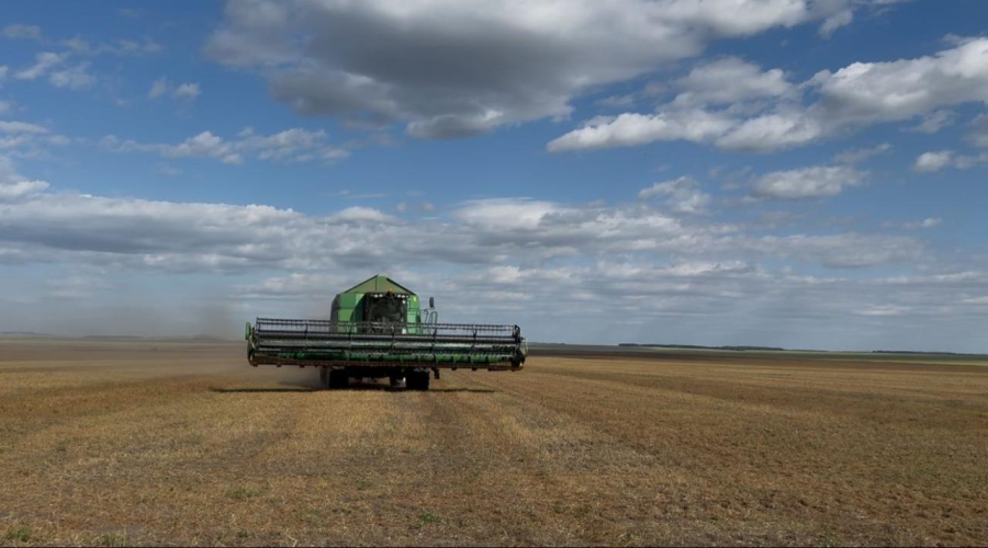 Почти 3,5 тысяч га земель возвращены в госфонд в ЗКО