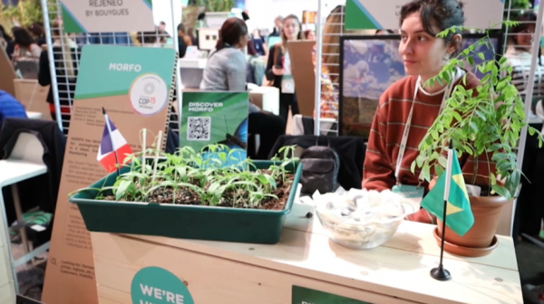 Климатты қорғауға арналған тың технология