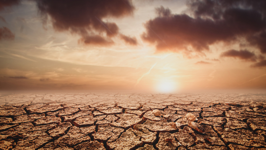 Жара, дожди и пыльная буря ожидаются в Казахстане