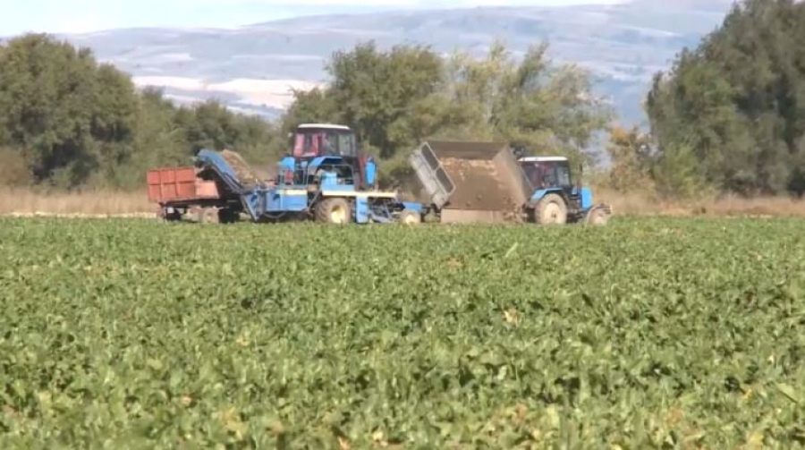 Ауыл шаруашылығын дамыту бағытында жаңа міндеттер жүктелді