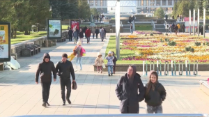 Исследование: более 30% казахстанцев не проходят медосмотр