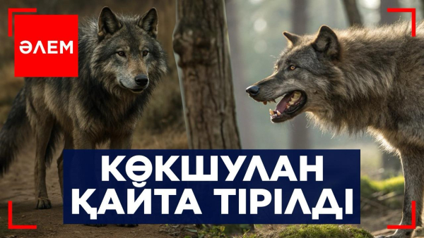 Көкшулан қайта тірілді | Әлем