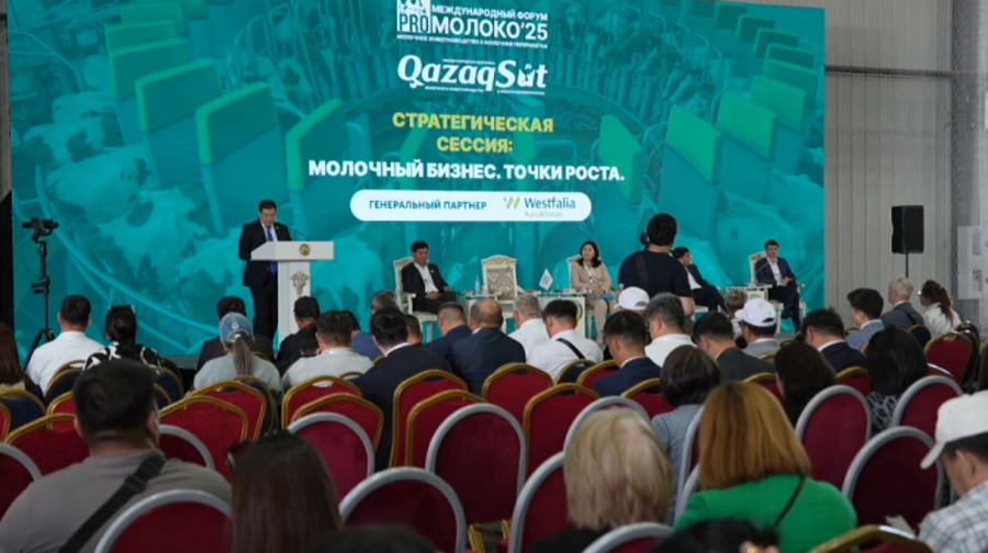 Павлодарда сүт бизнесін дамыту тетіктері талқыланып жатыр