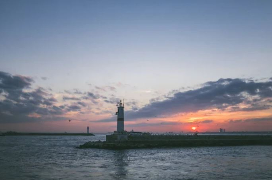 Некоторые профессии в Казахстане начнут исчезать