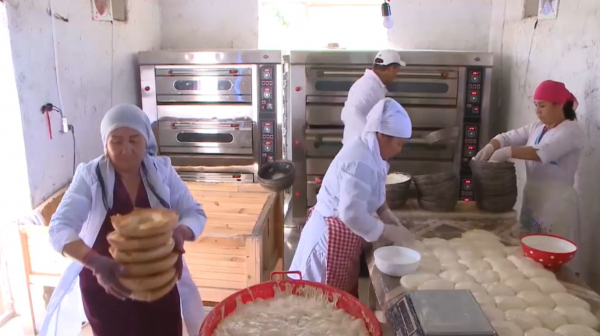 Түркістан облысында «Ауыл аманаты» аясында 75 кооператив құрылды