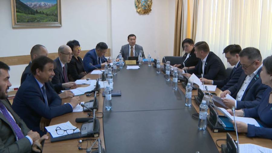 В Казахстане оптимизируют уголовное законодательство