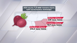 Былтыр елімізде 1,3 млн тонна қант қызылшасы жиналды