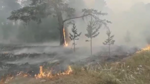 Абай облысындағы өрт кезінде 3 орманшы опат болды