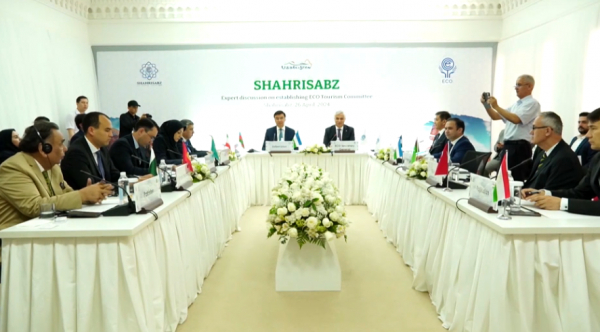 Шетелдік туристерге «жасыл дәліз» ашылады