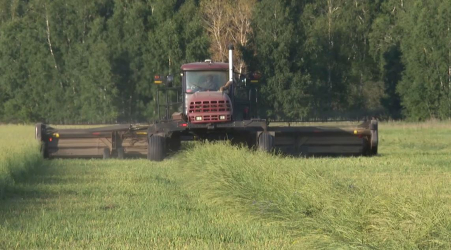 Фермеры Акмолинской области заготовят 1,5 млн тонн сена