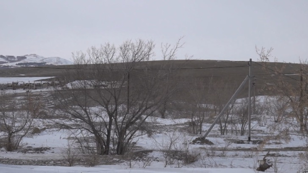 Шығыста игерілмеген жер мемлекетке қайтарылды