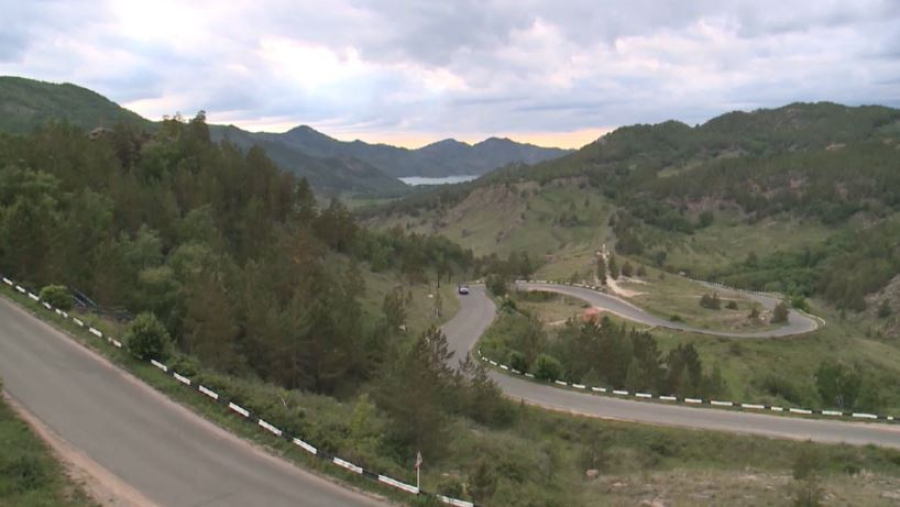 Новые методы лесовосстановления тестируют в Казахстане