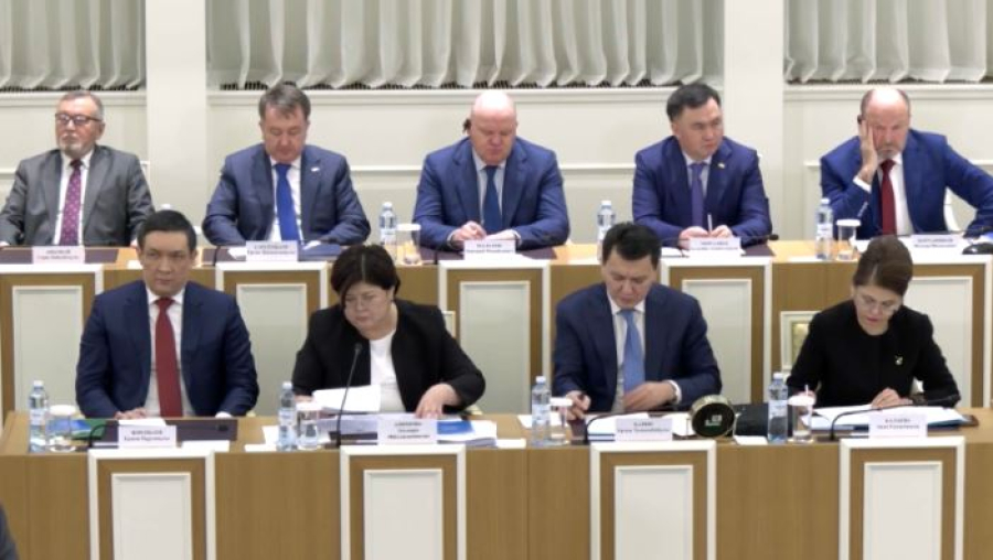 Народный совет может получить право законодательной инициативы