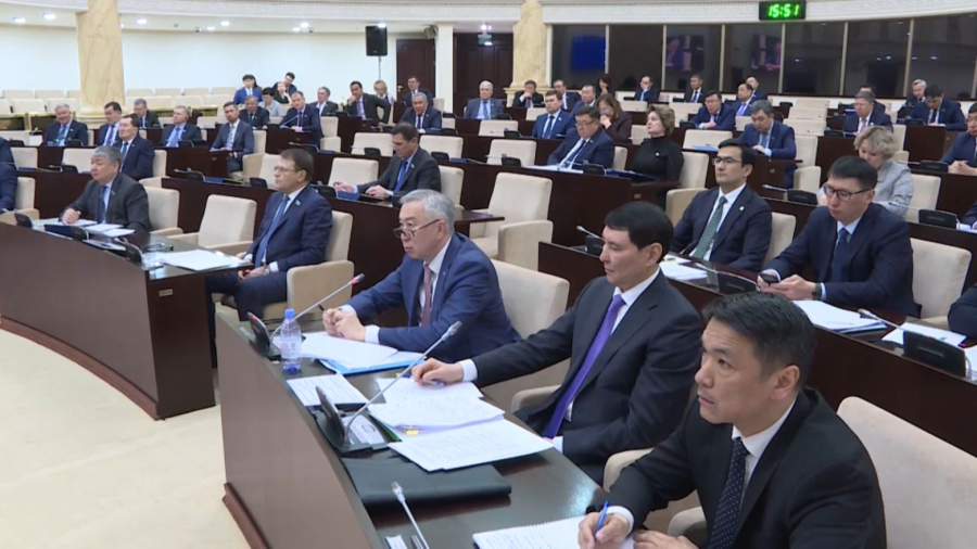 Сенатта экономикаға жеке капиталды тарту жолдары талқыланды