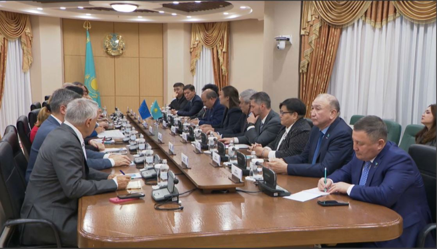 Құрылтай мен Еуропарламент парламентаралық ынтымақты кеңейтуге ниетті