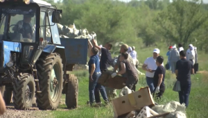 «Таза Қазақстан»: стихийную свалку убрали возле села Мартук