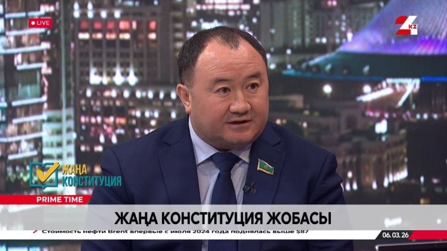 Жаңа Конституция жобасы. Амангелді Есбай