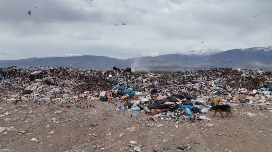 Қалдықты қайта өңдеу қарқыны артады