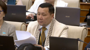 Депутат: Елтаңба авторымен кеңесу қажет