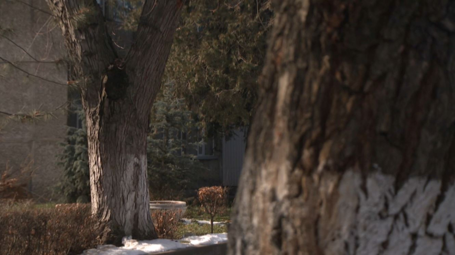 Цифровые решения в сфере экологии и природных ресурсов