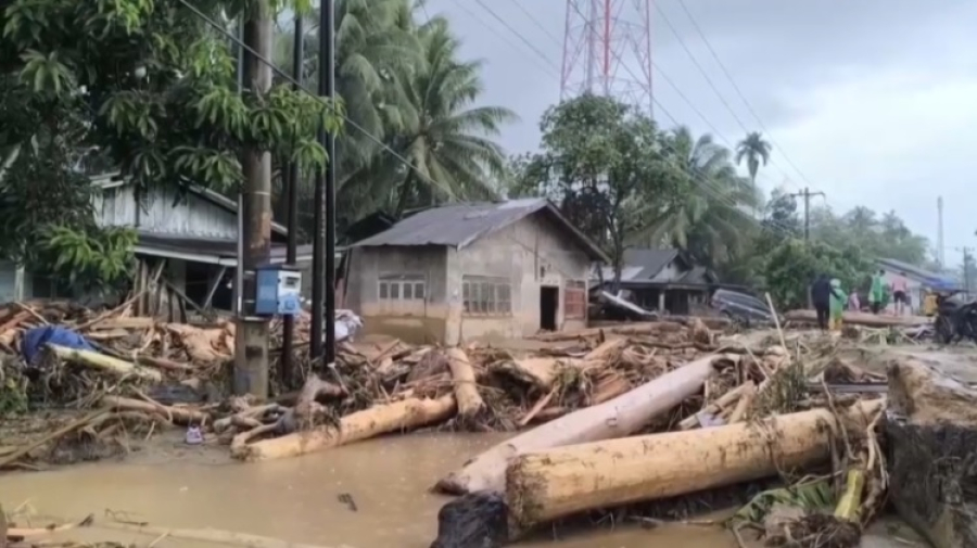 Наводнения в Юго-Восточной Азии унесли жизни 320 человек