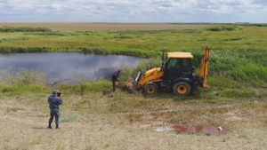 Около 100 мертвых сайгаков обнаружили в Карагандинской области