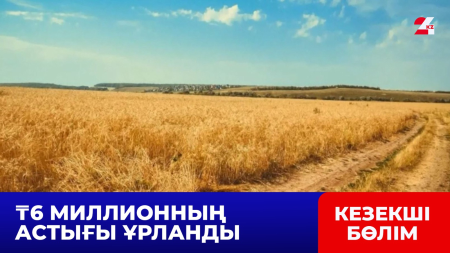 Ақмола облысында 60 тонна астық ұрланды