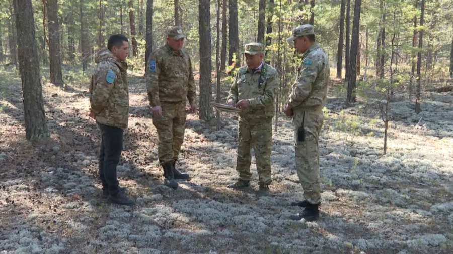 Табиғатпен тілдескен орманшылар