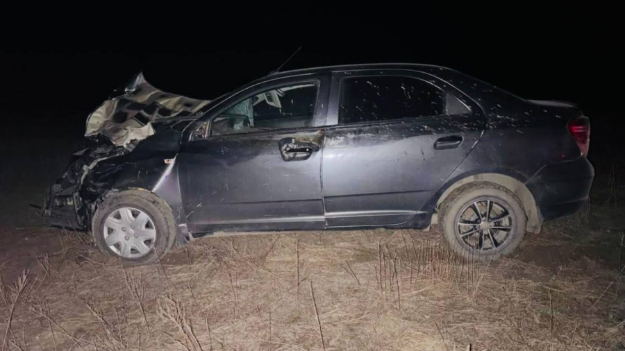 Водитель пострадал при наезде на жеребенка в Павлодарской области