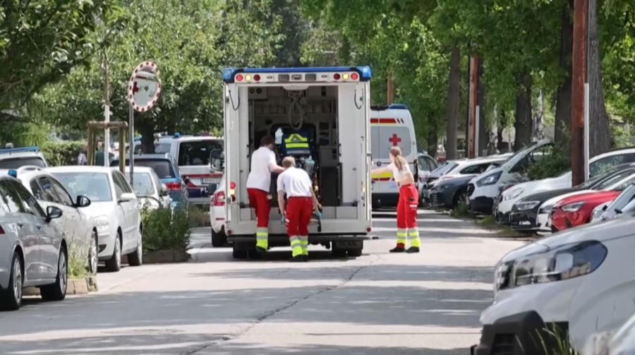 Стрельба в школе Австрии: погибли 10 человек