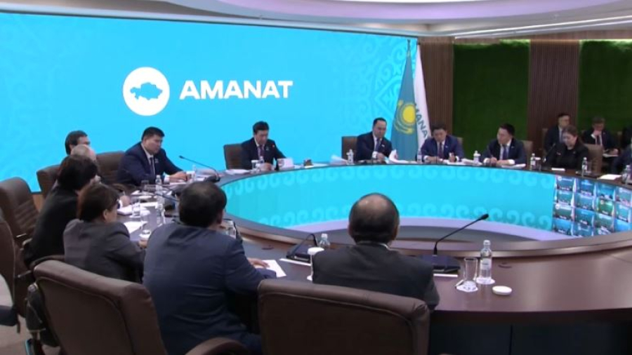 Партия Amanat продолжит работу по реализации соцпроектов