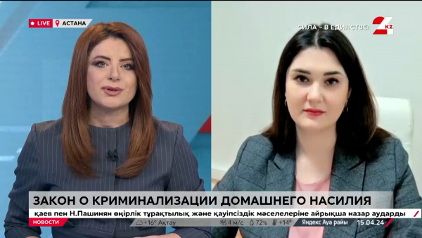 Какие нормы вошли в Закон о криминализации домашнего насилия