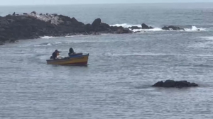 Перуанские рыбаки столкнулись с резким сокращением улова