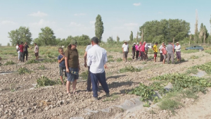 Жамбыл облысы Өрнек ауылының шаруалары судан тапшылық көріп отыр