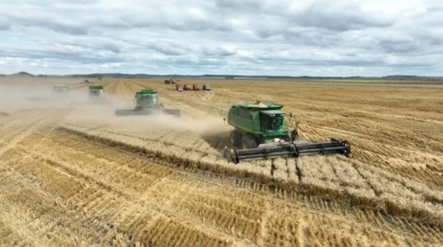 Токаев обсудил развитие аграрного сектора в Акмолинской области