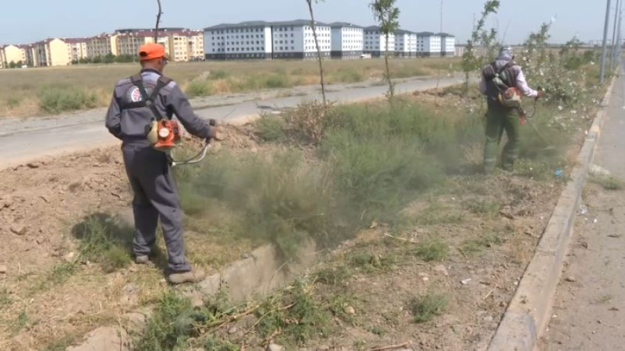 Сухую траву убрали в Шымкенте