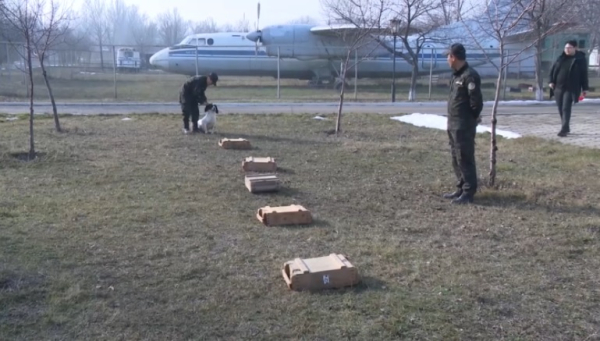 Как проходит подготовка служебно-розыскных собак