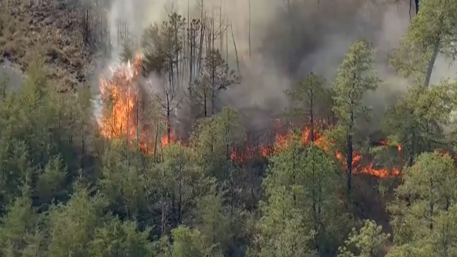 Нью-Джерси штатындағы орман өртіне қатысы бар адам ұсталды