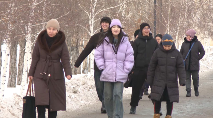 Жаңа Конституция: билік пен бизнестің байланысы   