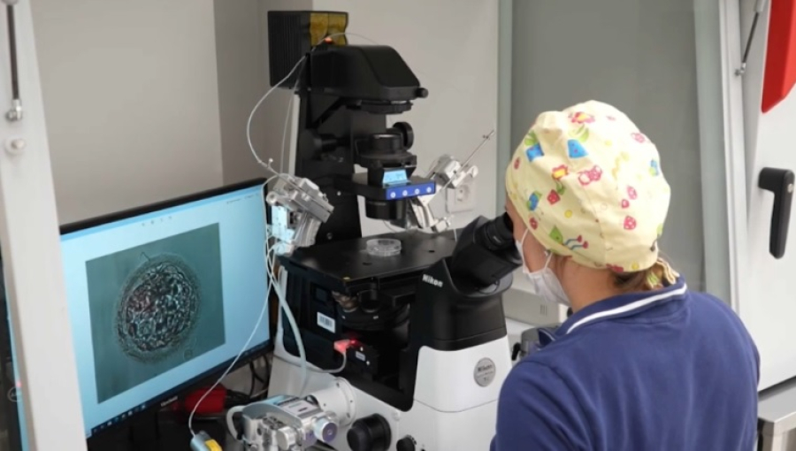 Почти 2 млн циклов ЭКО провели в России за 19 лет