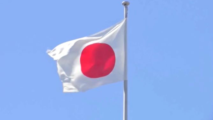 Даун синдромын емдеудің тың тәсілі табылды