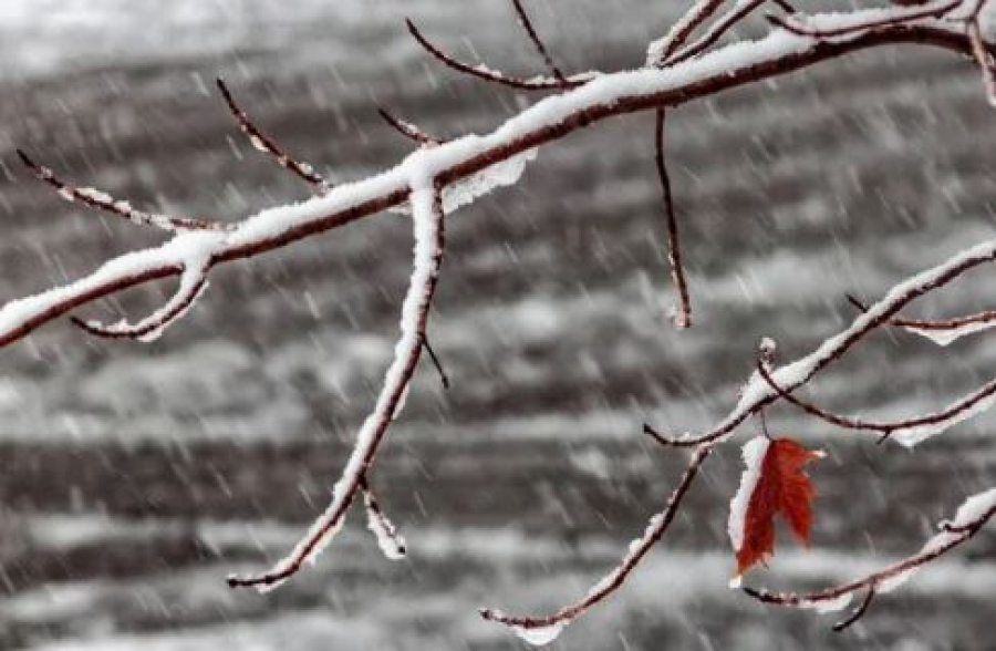 Дожди и мокрый снег ожидаются в горных районах Казахстана