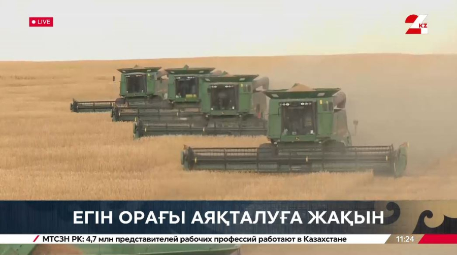 Ақмола облысында егін орағы аяқталуға жақын