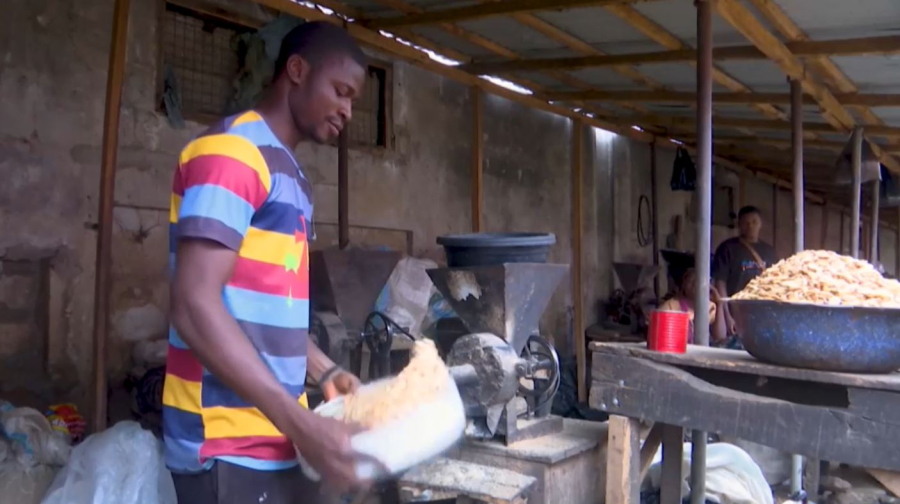 Нигерия ғалымдары қауын тұқымдарын ғарышқа жіберді