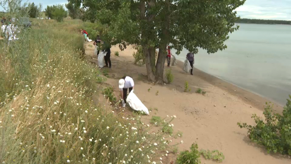 Берег Иртыша очистили в области Абай
