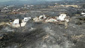 За неделю в Греции сгорело свыше 35 тысяч гектаров леса